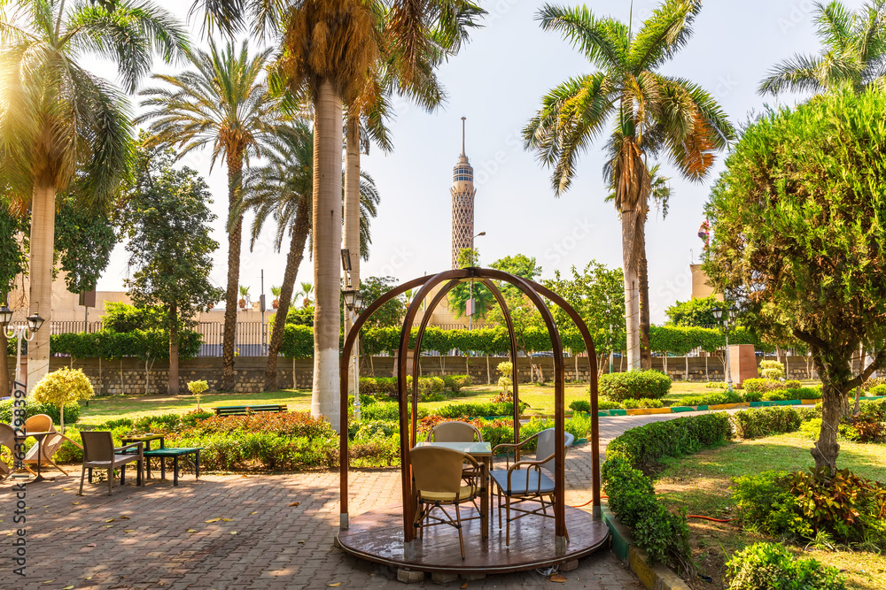 View on the Cairo Tower and city downtown from the exotic park, Egypt