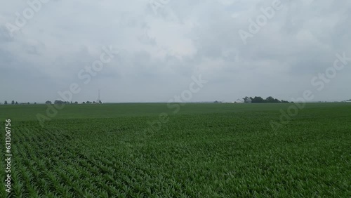 This is a flyover of a typical Illinois corn field on a cloudy day during the middle of the summer growth cycle.