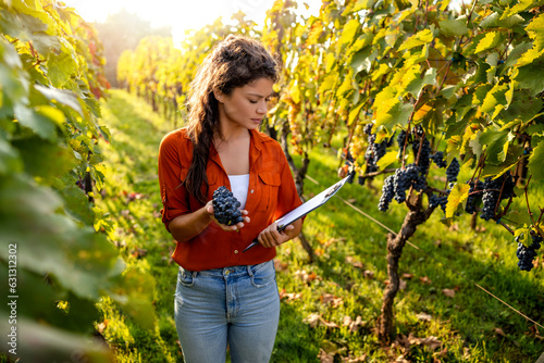 Young woman working in vineyard
