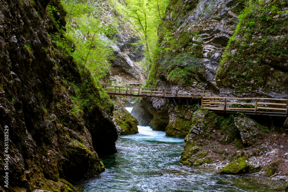 Vintgar Gorge or Bled Gorge is a 1.6 km long gorge in northwestern Slovenia. This natural nature reserve. The Vintgar Gorge is one of the most important tourist attractions in Slovenia.Tourism. Vintgar Gorge or Bled Gorge is a 1.6 km long gorge in northwestern Slovenia. This natural nature reserve. The Vintgar Gorge is one of the most important tourist attractions in Slovenia.Tourism.