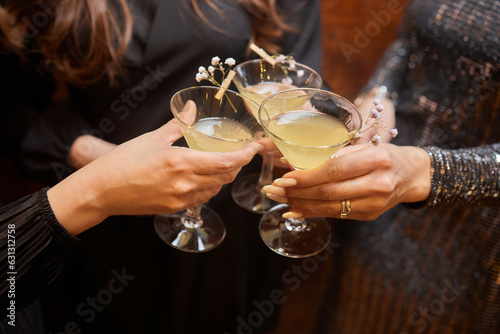 Clinking glasses with alcohol and toasting, party.
