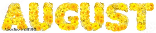 word august with yellow flowers photo