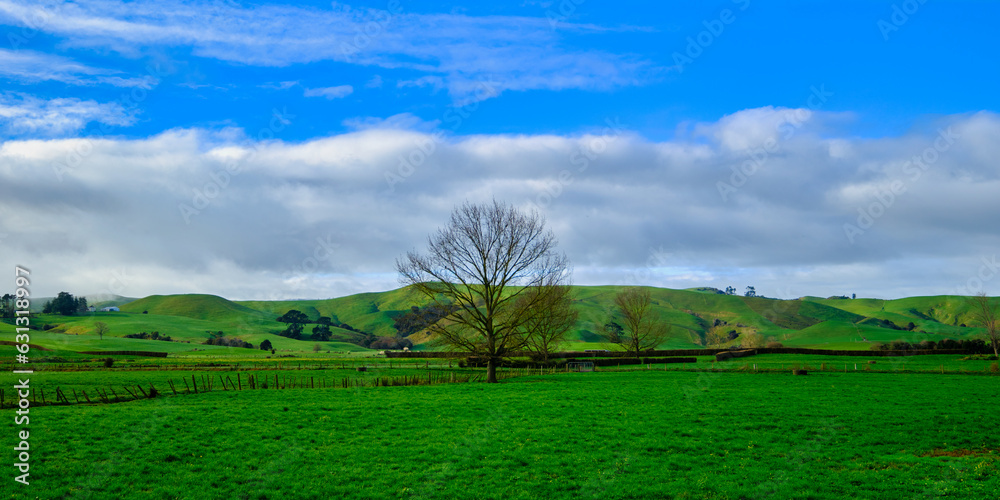 Beautiful Countryside in New Zealand.