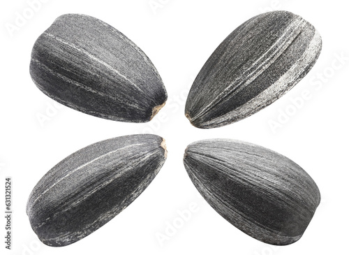Set of delicious sunflower black seeds, cut out