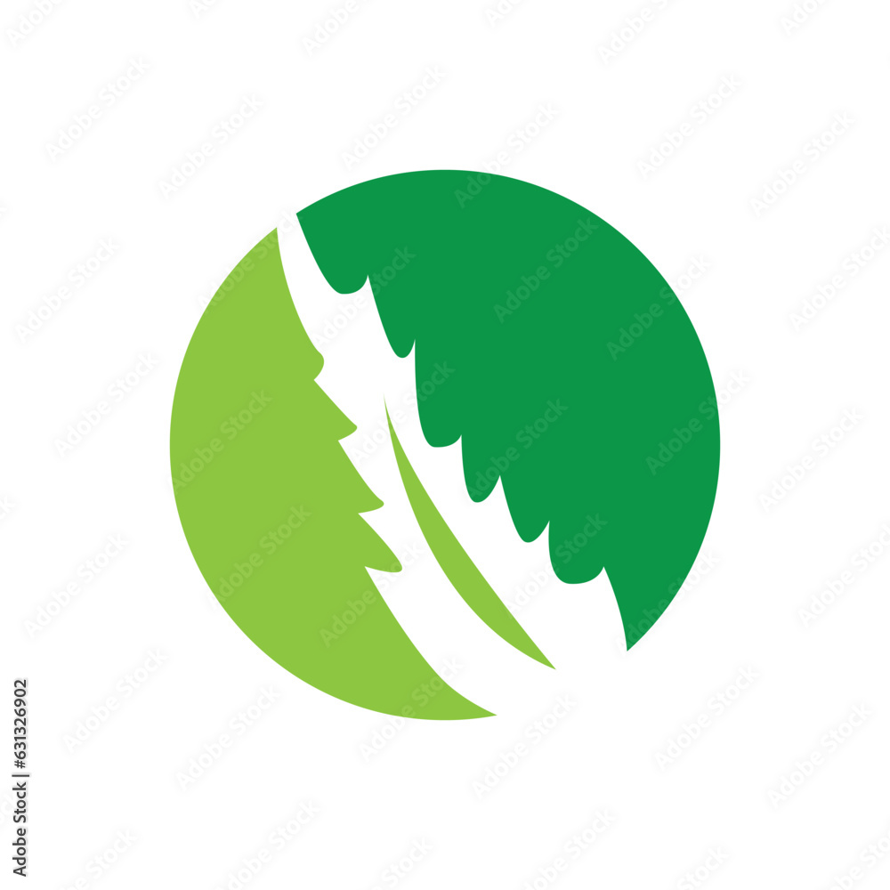 Aloe Vera Logo, Green Plant Health Design, Vector Illustration Symbol Aloe Vera Logo, Green Plant Health Design, Vector Illustration Symbol