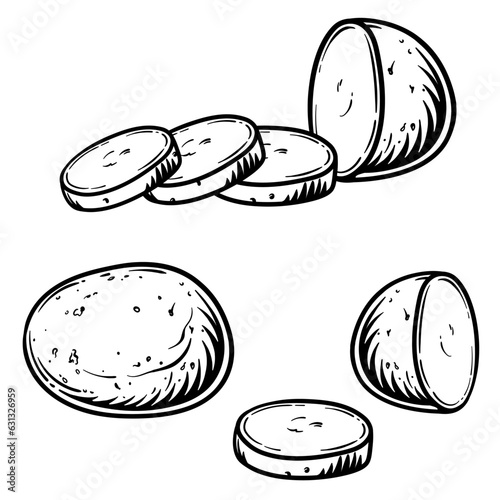 Vector illustration of potatoes isolated on a white background.