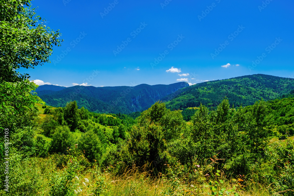 Summer landscape of green field with mountains and blue sky