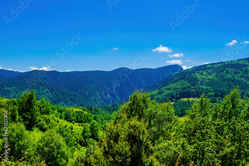 Summer landscape of green field with mountains and blue sky