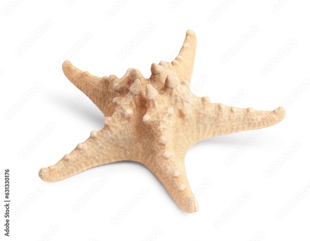 Beautiful sea star (starfish) isolated on white Beautiful sea star (starfish) isolated on white