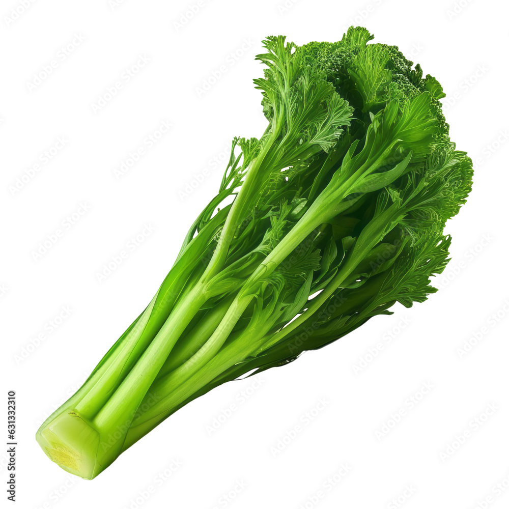 fresh green celery isolated on transparent background cutout fresh green celery isolated on transparent background cutout