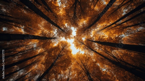 A forest canopy during fall with leaves creating a natural abstract pattern. Generative AI