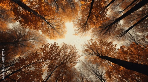 A forest canopy during fall with leaves. Bottom view. Generative AI