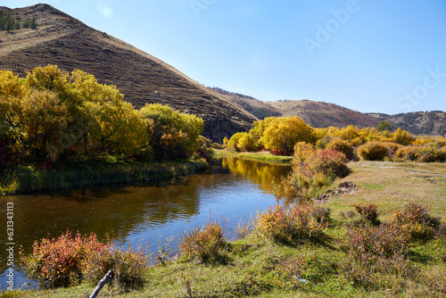 Autumn landscape. Yellow trees and bushes on the bank of a picturesque river.