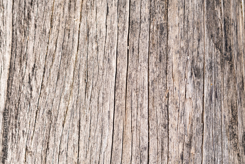 Wallpaper Mural Campamento en los Andes de Lima, Peru Torontodigital.ca