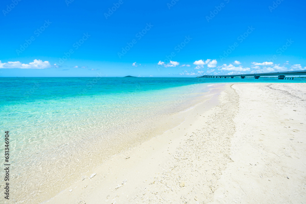 Obraz premium 池間島の海と池間大橋