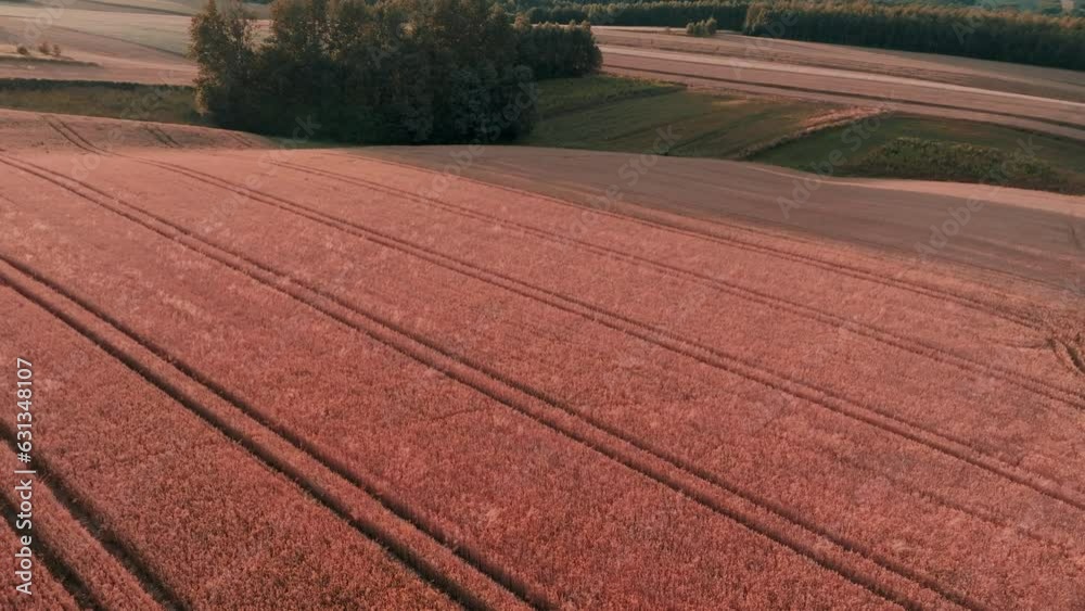 Sunset over a beautiful hilly farmland seen from a drone, aerial view. The concept of farming, agricultural landscapes. Sunset over a beautiful hilly farmland seen from a drone, aerial view. The concept of farming, agricultural landscapes.