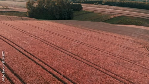 Sunset over a beautiful hilly farmland seen from a drone, aerial view. The concept of farming, agricultural landscapes.