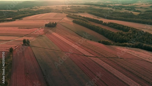 Sunset over a beautiful hilly farmland seen from a drone, aerial view. The concept of farming, agricultural landscapes.