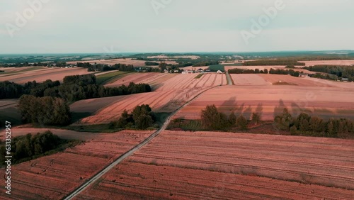 Sunset over a dirt road running between agricultural fields from a drone, aerial view. The concept of farming, agricultural landscapes.