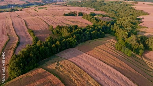 Sunset over a beautiful hilly farmland seen from a drone, aerial view. The concept of farming, agricultural landscapes.