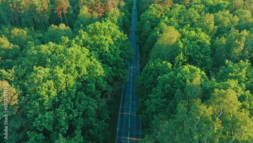 View from the drone on an extremely lively and green forest in the middle of which the street runs. Aerial view of the street and lovely forest.