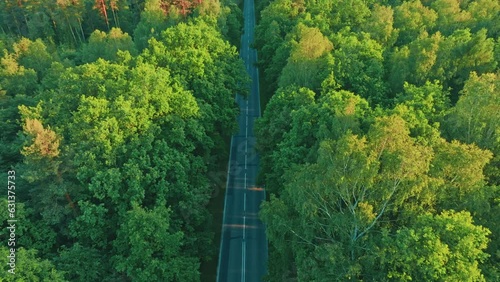 View from the drone on an extremely lively and green forest in the middle of which the street runs. Aerial view of the street and lovely forest.
