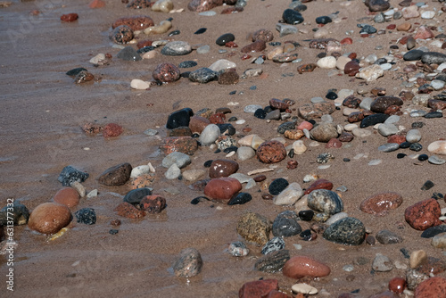 Fototapeta Naklejka Na Ścianę i Meble -  colorful stones on the beach of the Baltic Sea in Latvia