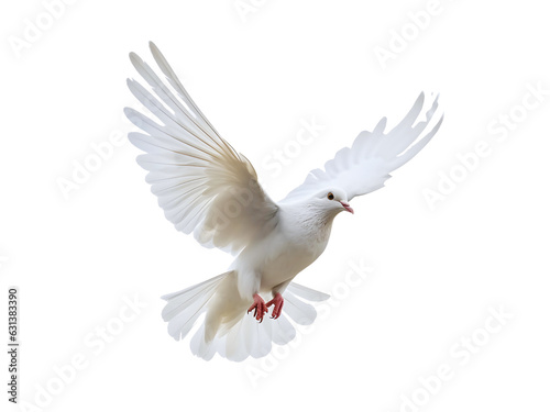 Beautiful white dove flying, freedom concept isolated on white background