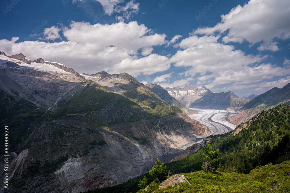 Landscape of glacier, mountain and forest. Aletsch Glacier in Switzerland. Travel destinations. Ice melting.