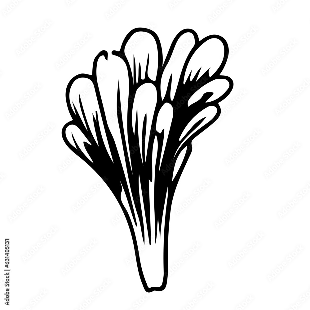 vegetables Healthy eathing, vecrot outline vegetables Healthy eathing, vecrot outline