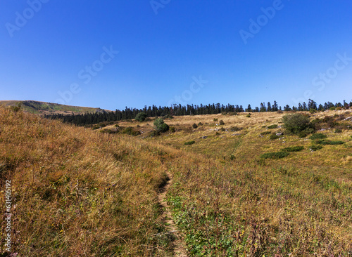 the beginning of autumn in the highlands, alpine meadows with dried vegetation, nature walks, and rest in the mountains.