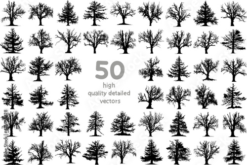 set of monochrome silhouettes of dry dead trees vector detailed images