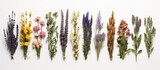 A collection of medicinal herb bunches arranged in a row is seen on a white background in a top-down