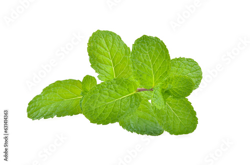 Mint leaves isolated on white background.