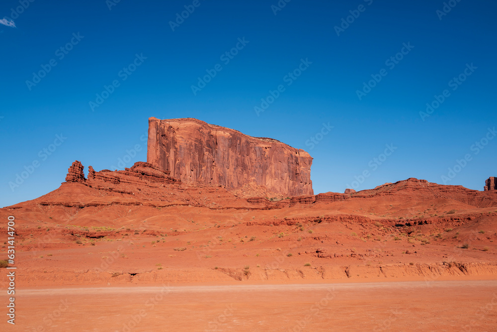 the elephant in monument valley
