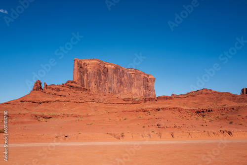 the elephant in monument valley