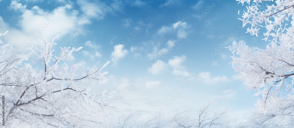 A winter nature background with snowy tree branches against a blue sky, offering copy space A winter nature background with snowy tree branches against a blue sky, offering copy space