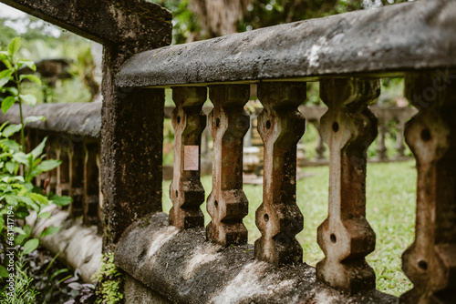 Moss covered ruins in the jungle photo