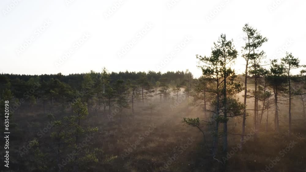 A cinematic aerial shot moving forward at a relatively slow speed over a swamp during sunrise with the Sun bleeding into the shot. Nr.1