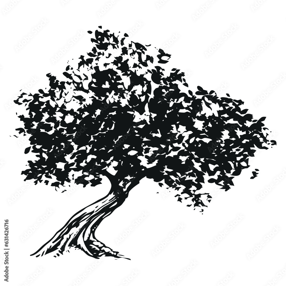 olive tree - black and white drawing illustration Stock Vector | Adobe Stock