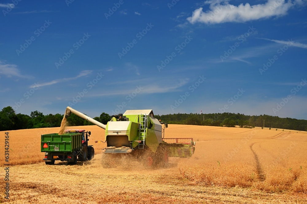 Obraz premium Tractor and combine harvester in the field during grain harvest. End of summer and harvest time. Concept for agriculture and industry. Landscape with field and blue sky with sun.