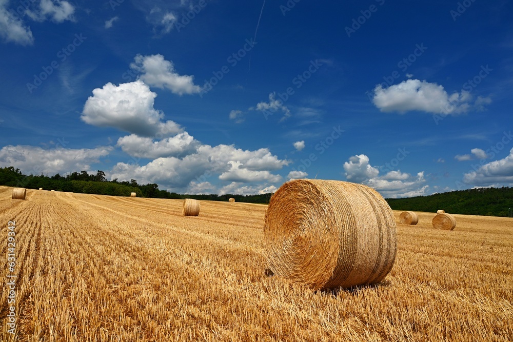 Beautiful summer landscape. Agricultural field. Round bundles of dry grass in the field with bleu sky and sun. Hay bale - haystack.