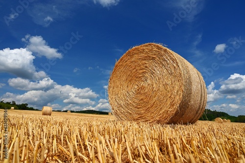 Beautiful summer landscape. Agricultural field. Round bundles of dry grass in the field with bleu sky and sun. Hay bale - haystack.