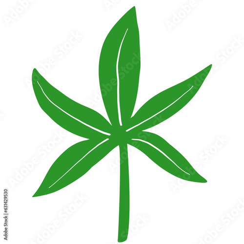 Cannabis Leaf Hand Drawn Vector