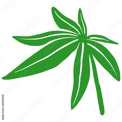 Cannabis Leaf Hand Drawn Vector