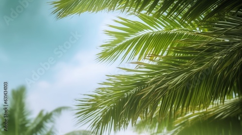 Palm Sunday concept: green palm tree leaves on natural sky, Generative AI © FrameFrenzy