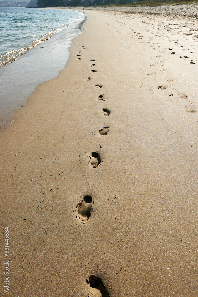 human footprints on the beach at the water's edge human footprints on the beach at the water's edge