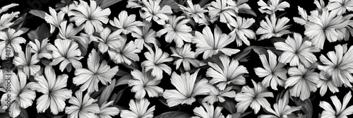 Black and white flower pattern  ai generated  natural background