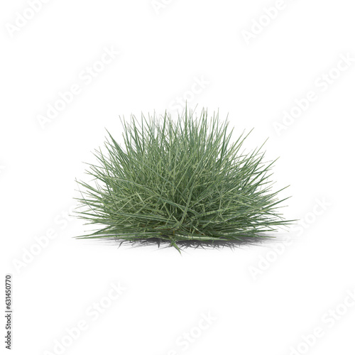 green grass isolated on transparent