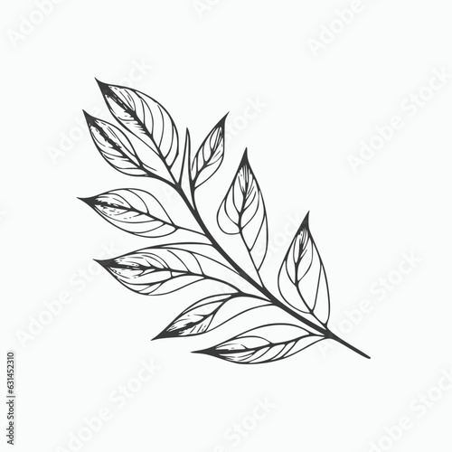 leaf  vector isolated on white © Alienalgorithm